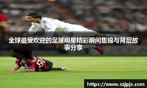 中华队教练谈国际赛差距